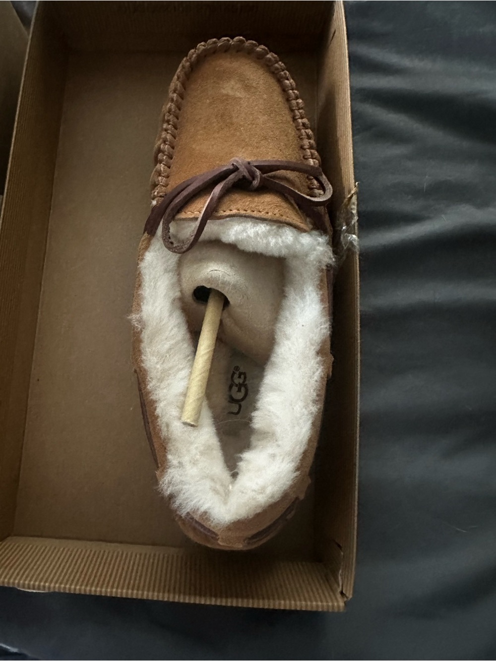 UGG Women's Chestnut Suede Moccasin with Shearling Trim